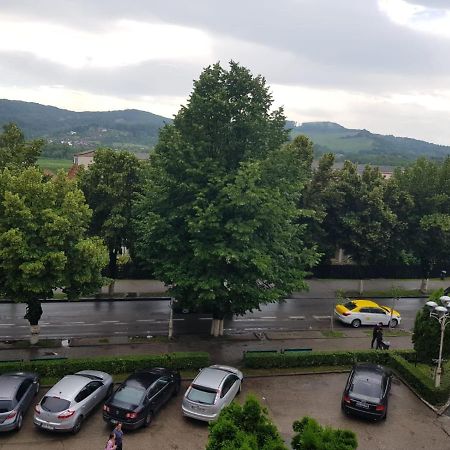 Apartament Posada Куртя-де-Арджеш Экстерьер фото